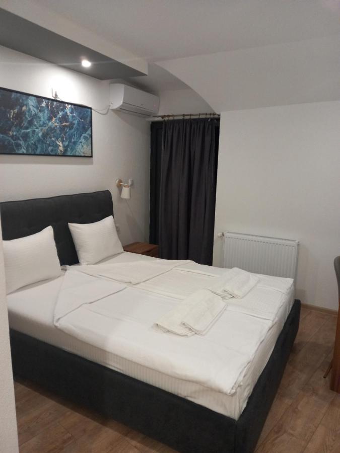 Prenociste Srebrno Jezero Hotel Veliko Gradište Buitenkant foto
